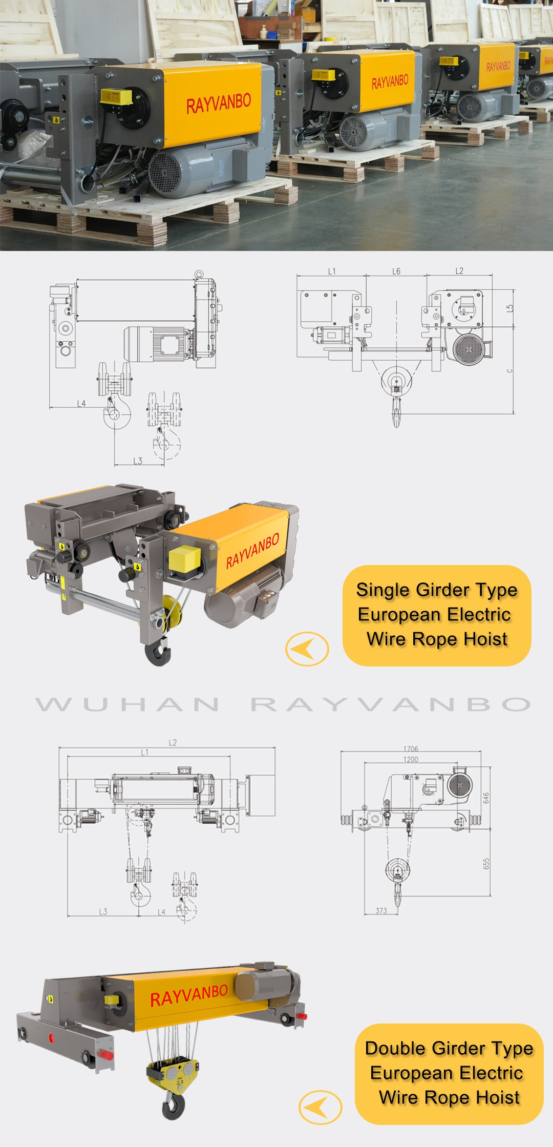 European type wire rope hoist details1-Rayvanbo
